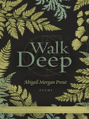 cover image of Walk Deep